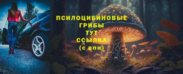 амф Аркадак