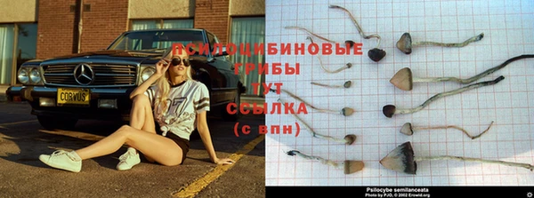 бутик Арсеньев